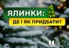 Штрафы за незаконную рубку елок перед новогодними праздниками повышены втрое - "Леса Украины"