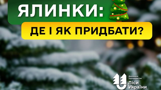 Штрафы за незаконную рубку елок перед новогодними праздниками повышены втрое - "Леса Украины"