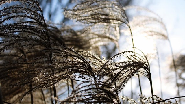 На западе Украины в пятницу ожидаются сильные порывы ветра