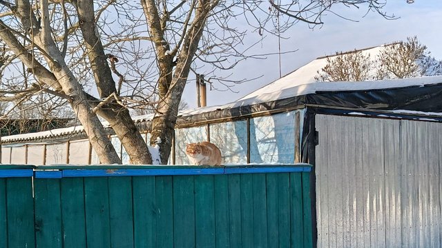 В Україну йде потепління, буде ожеледь і ожеледиця