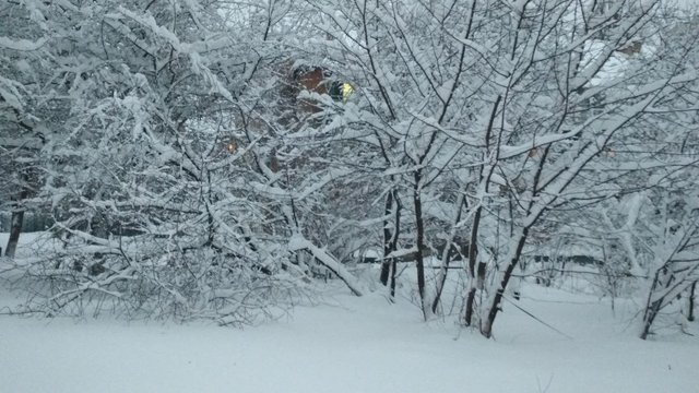 Снігопади очікуються в Україні в найближчі дні, на південному сході – дощі, у суботу різке похолодання