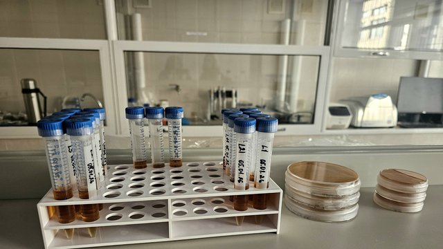 В Украине заработала единственная лаборатория полярной биологии