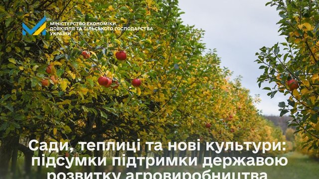 Правительство в 2025г. предоставило госкомпенсации на закладку 47 садов и 22 теплиц