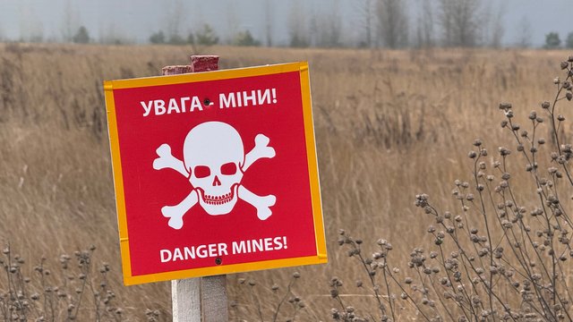 Собаки-шукачі вибухонебезпечних предметів дозволяють суттєво прискорити розмінування територій України