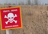 Собаки-шукачі вибухонебезпечних предметів дозволяють суттєво прискорити розмінування територій України