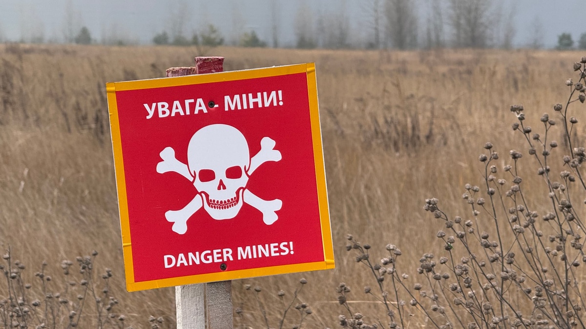 Explosives detection dogs significantly accelerate demining of Ukrainian territories