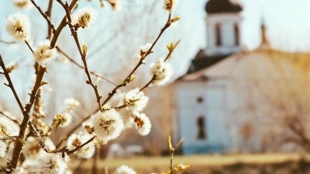 Держетнополітики починає дослідження афілійованості монастиря "Голосіївська пустинь" УПЦ (МП) з РПЦ