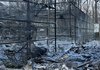 Через авіаудар по екопарку під Харковом постраждали вольєри з птахами
