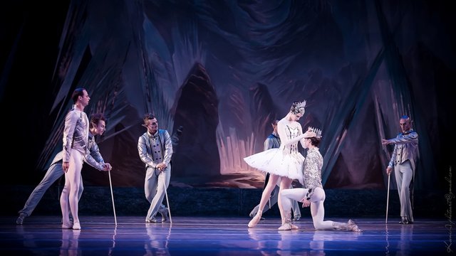 "Снігова королева", "Лісова пісня" та прем’єра "Казок Гофмана". Національна опера України оприлюднила репертуар на січень