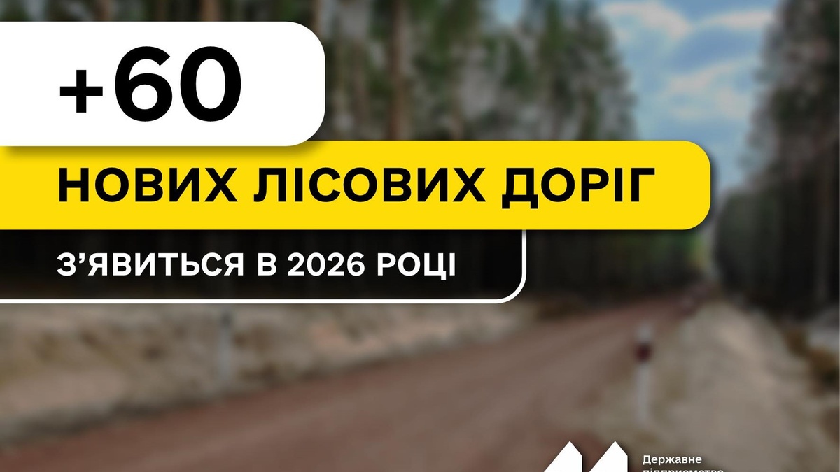 Forests of Ukraine plans to implement over 60 projects for construction of forest roads in 2026