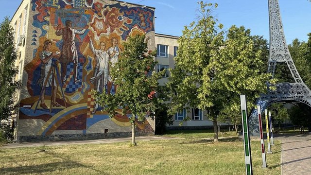 Житомирська міськрада створила робочу групу зі збереження місцевих мозаїк