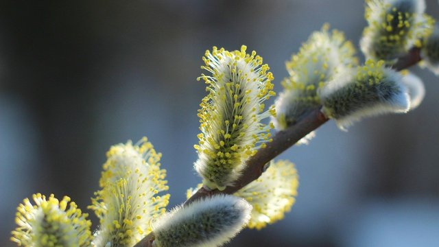 Відносно тепла погода збережеться в Україні найближчими днями, лише місцями невеликий мокрий сніг або дощ
