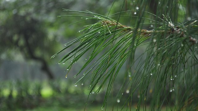 Постепенное похолодание продолжится в ближайшие дни, на востоке и в Карпатах незначительные дожди