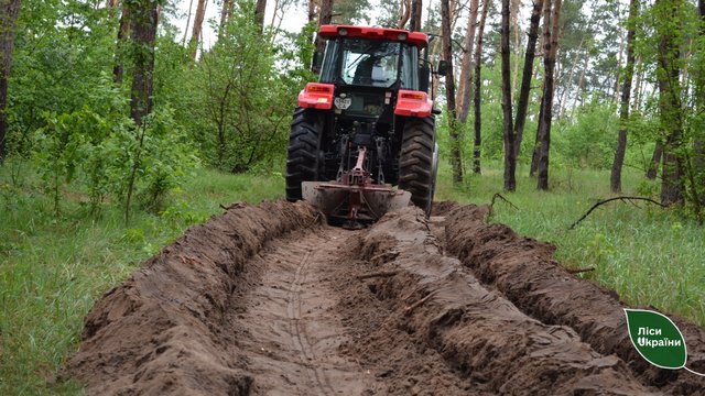 "Ліси України" в 2026р. облаштують понад 30 тис. км мінералізованих смуг