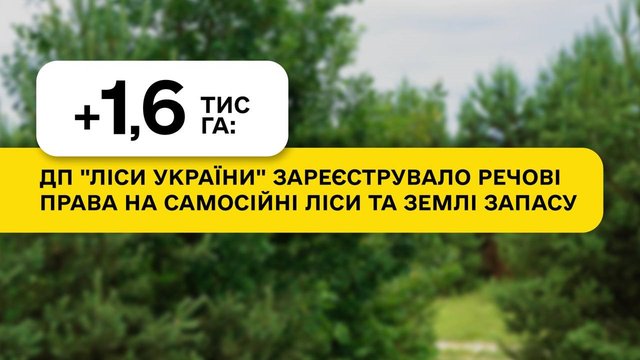 ГП "Леса Украины" с начала года оформило права на 1,6 тыс. га самосевных лесов
