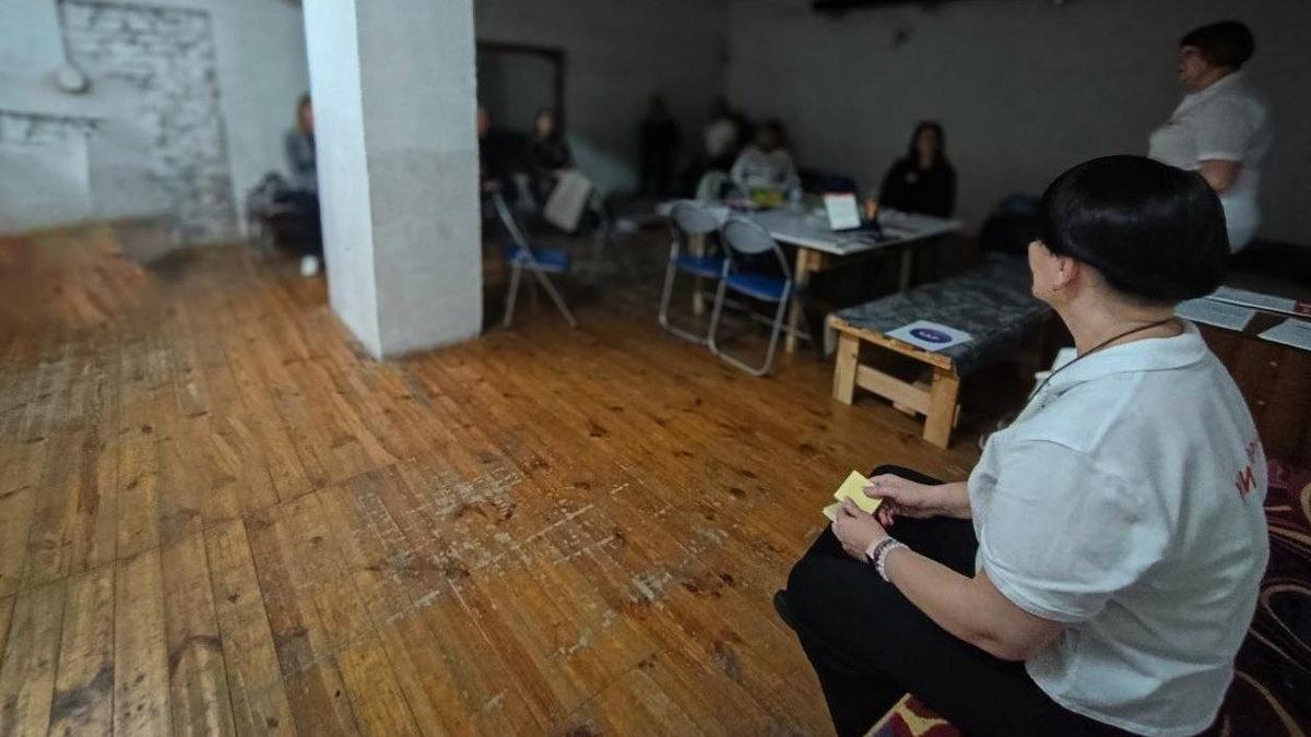 Ukrainian Red Cross Society conducts psychological first aid training for veteran support specialists