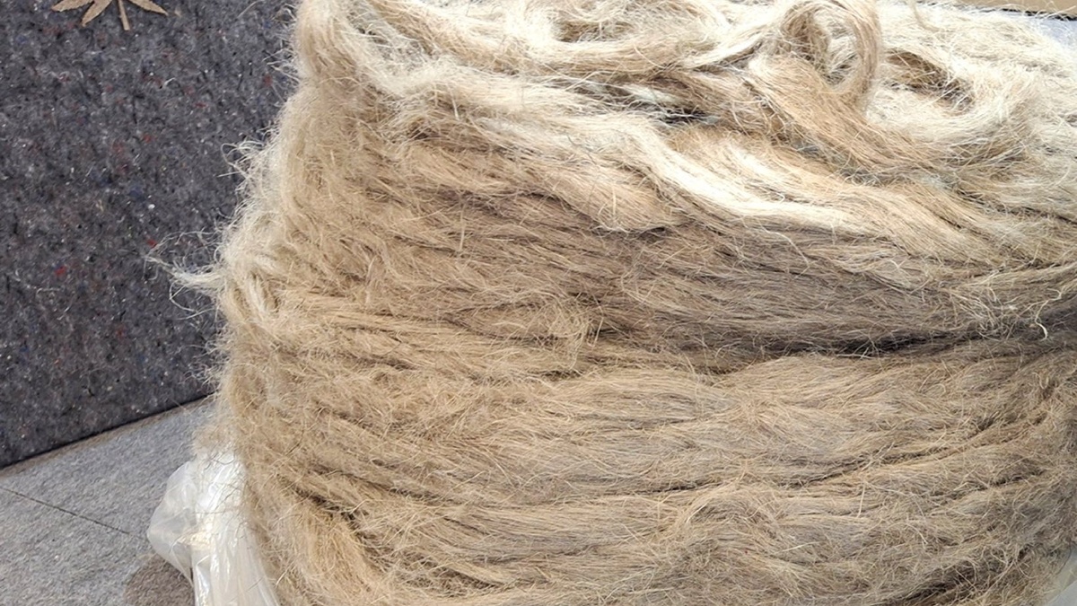 Житомирський завод "Ма'Рижани" розпочав сезон переробки конопель на оновлених потужностях