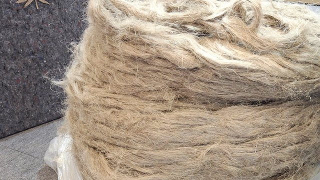 Житомирский завод "Ма'Рижаны" начал сезон переработки конопли на обновленных мощностях