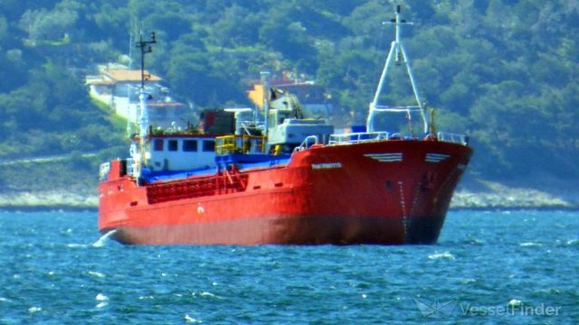 Зерновоз з краденим українським зерном вийшов з порту Ізраїлю в нейтральні води, посол заявив про перемогу