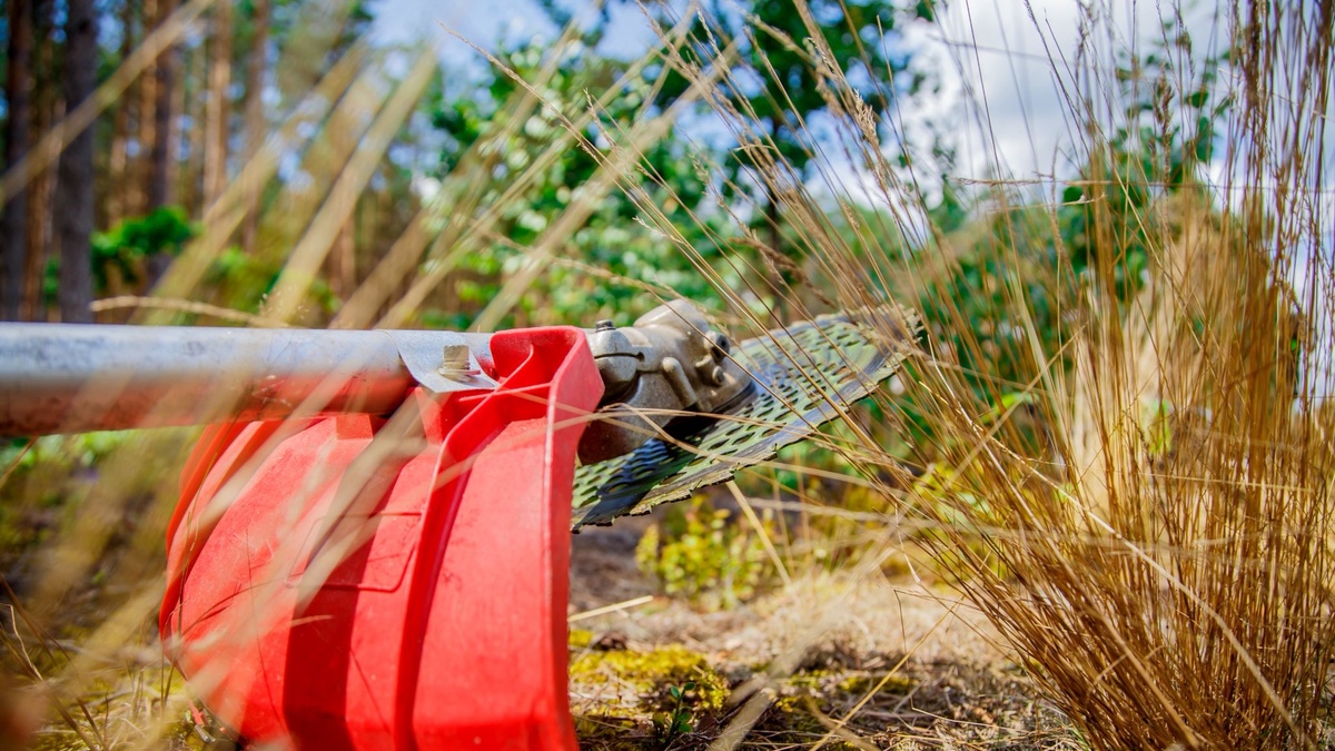 "Ліси України" у 2026р. проведуть догляд за лісовими культурами на 107 тис. га та оновлять 200 одиниць техніки