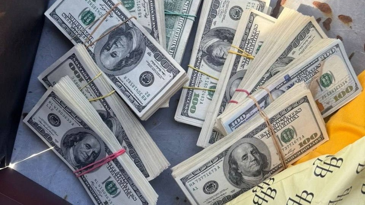 Службовий пес винюхав близько 4 млн грн готівки у речах пішохідки на ПП "Ужгород – Вишнє Нємецьке"