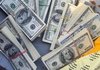 Службовий пес винюхав близько 4 млн грн готівки у речах пішохідки на ПП "Ужгород – Вишнє Нємецьке"