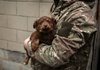 Епіцентр та UAnimals допоможуть тваринам військових на передовій