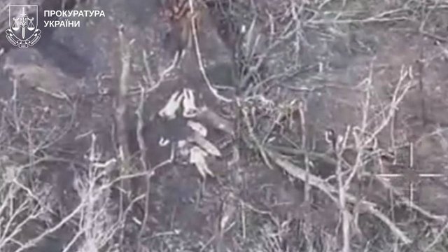 Росіяни розстріляли українських військовополонених поблизу Ветеринарного Харківської області - прокуратура