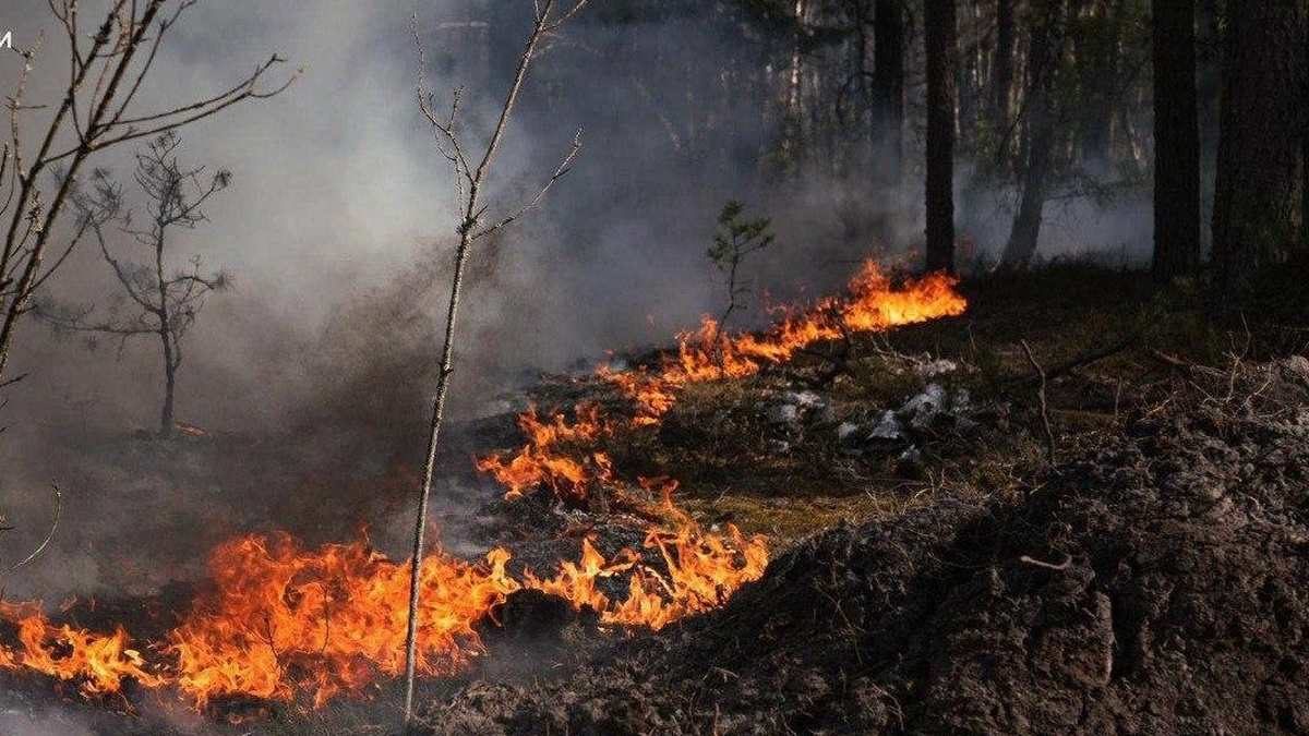 Fire in Kyiv region exclusion zone spreads to over 1,100 hectares, large-scale extinguishing underway – SEMS