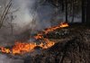 ДСНС: у Зоні відчуження продовжують ліквідацію масштабної лісової пожежі