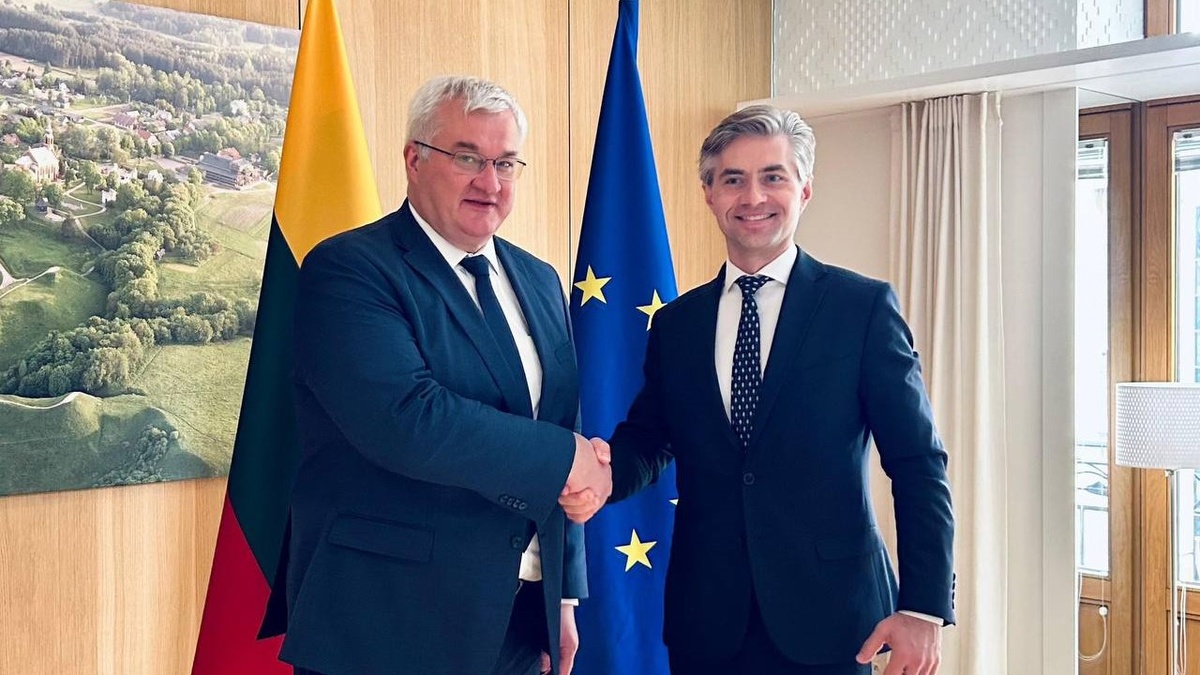 Ukraine and Lithuania sign Joint Declaration on partnership, including on return and rehabilitation of children