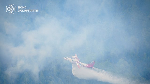 Рятувальники локалізували пожежі у лісництвах на Закарпатті та Рівненщині