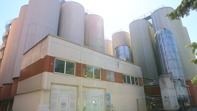 Carlsberg Ukraine інвестувала понад EUR12 млн у нову лінію на "Львівській пивоварні"