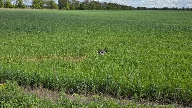 Чоловік та жінка загинули на Сумщині через атаку російського дрона