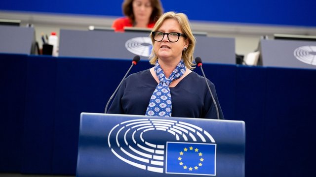 Слід зберегти особливий режим поставок сталі до ЄС, бо металургія є важливою галуззю для здатності України виграти війну – євродепутатка