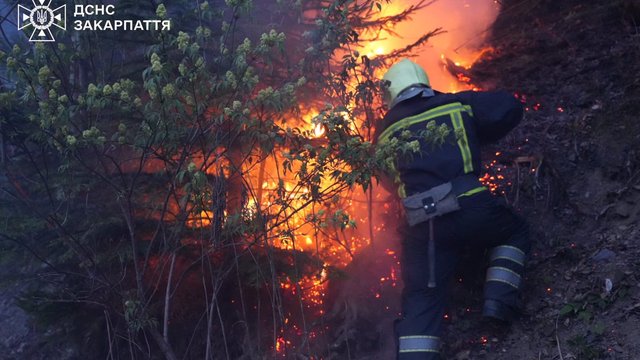 На Закарпатті рятувальники ліквідовують масштабну пожежу в лісництві
