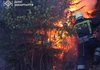 На Закарпатье спасатели ликвидируют масштабный пожар в лесничестве