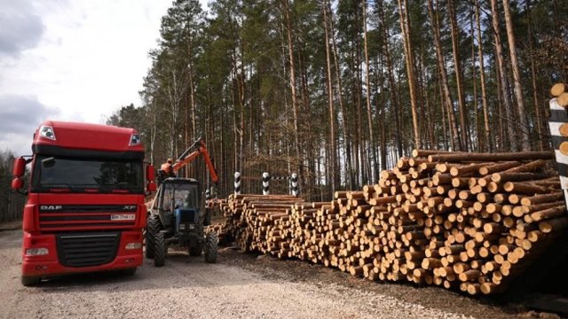 Команда ДП «Ліси України» на чолі з Юрієм Болоховцем забезпечила  рекордне зростання надходжень до бюджету