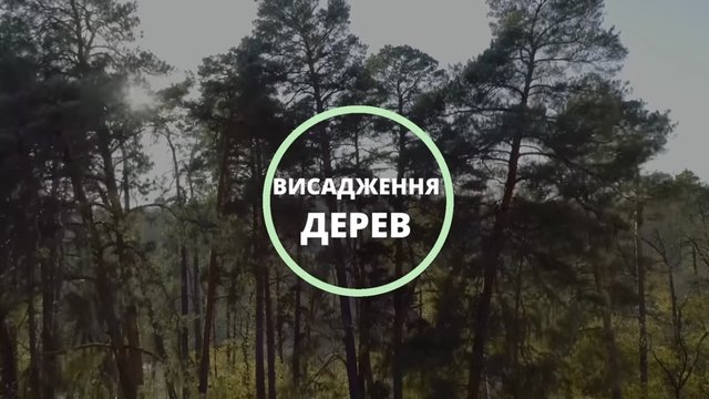 В Україні та світі висадять 1 млн дерев 2 травня: деталі акції