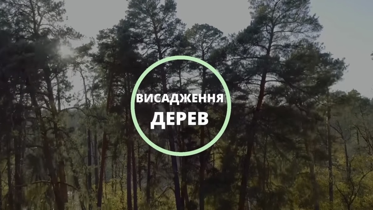 В Україні та світі висадять 1 млн дерев 2 травня: деталі акції
