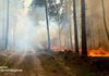 Спасатели ГСЧС локализовали лесной пожар в Черниговской области