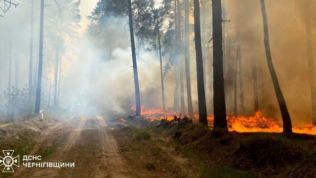 Рятувальники ДСНС локалізували лісову пожежу на Чернігівщині