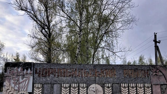 Понад 190 га Чорнобильського заповідника використовували під агробізнес – прокуратура