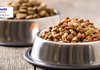 Mars Petcare запускає глобальний пошук інновацій для сталого харчування домашніх тварин