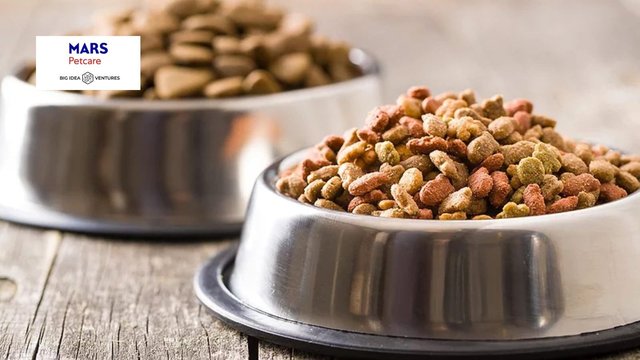 Mars Petcare запускає глобальний пошук інновацій для сталого харчування домашніх тварин