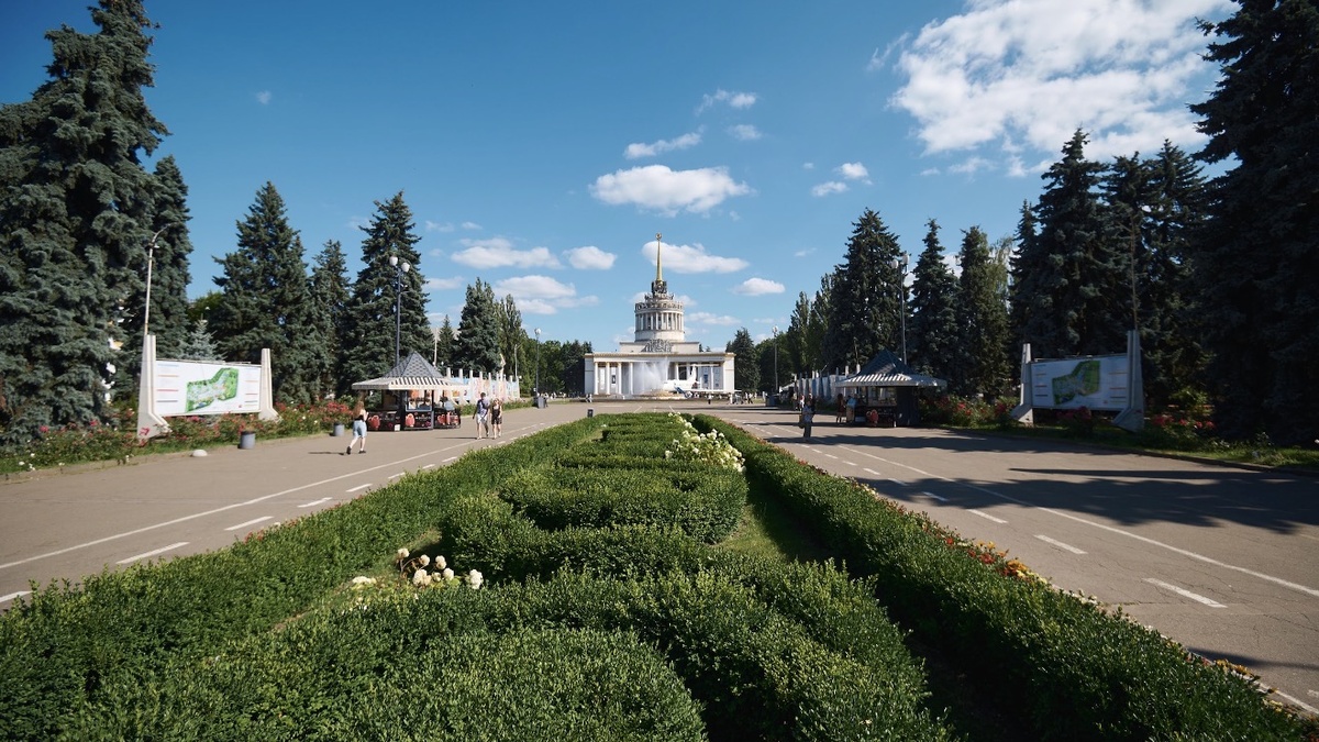 На ВДНГ до Дня музики проведуть безкоштовний концерт серед соняшників