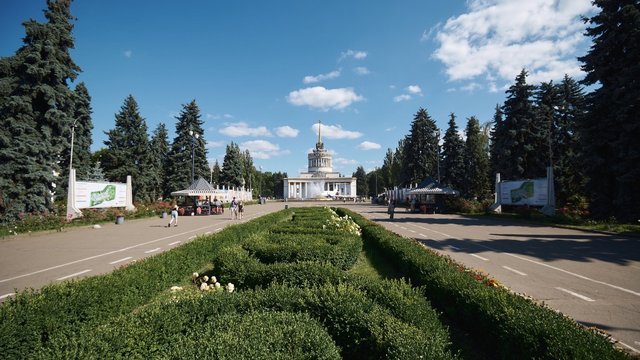 На ВДНГ до Дня музики проведуть безкоштовний концерт серед соняшників