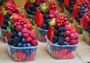 Ukraine awards UAH 183 mln in agri-grants to 35 businesses