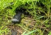 У Києві затримано іноземця за підозрою у вбивстві двох знайомих на СТО