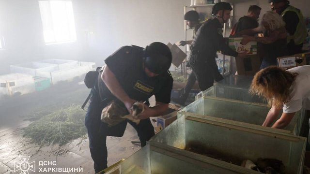 Несколько животных погибли в результате удара по зоопарку в Харькове